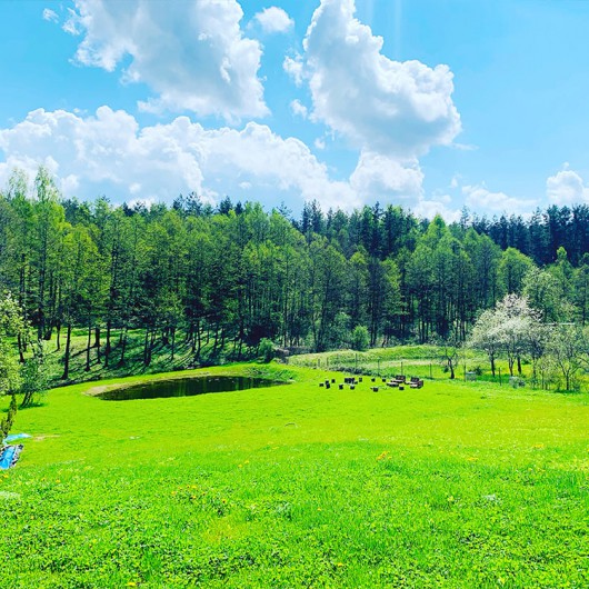 Apželdinimas | Aimena